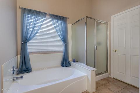 10409 E Jan Ave, Mesa, AZ 85209 photo 19