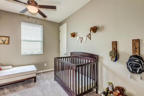 10228 E Theorem Dr, Mesa, AZ 85212 photo 16