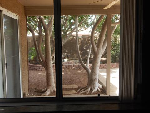 8763 E Carol Ave, Mesa, AZ 85208 photo 17