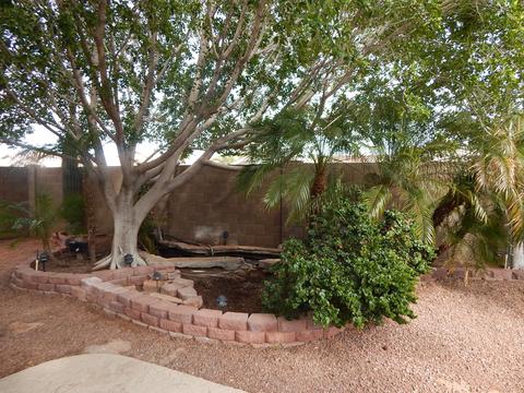 8763 E Carol Ave, Mesa, AZ 85208 photo 23