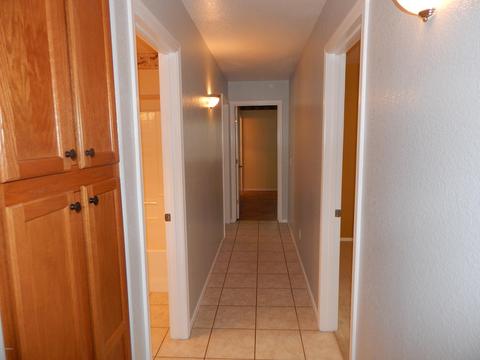 8763 E Carol Ave, Mesa, AZ 85208 photo 13