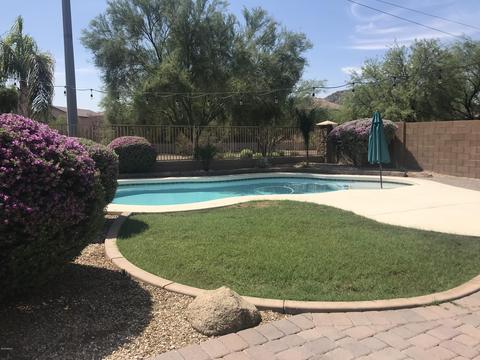 1825 E Patrick Ln, Phoenix, AZ 85024 photo 6