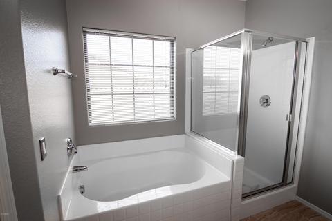 3463 E Flower St, Gilbert, AZ 85298 photo 29