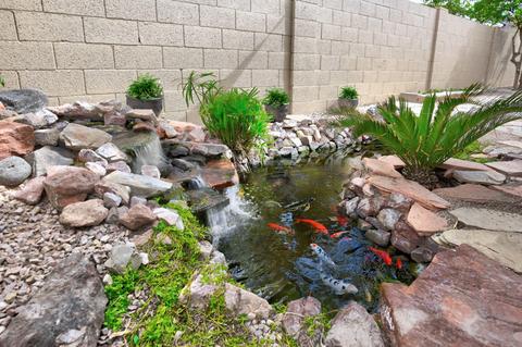 931 E Annette Dr, Phoenix, AZ 85022 photo 40