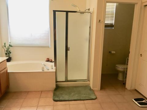 7328 E Lomita Ave, Mesa, AZ 85209 photo 15
