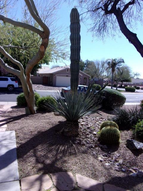 2742 E Harwell Rd, Gilbert, AZ 85234 photo 2