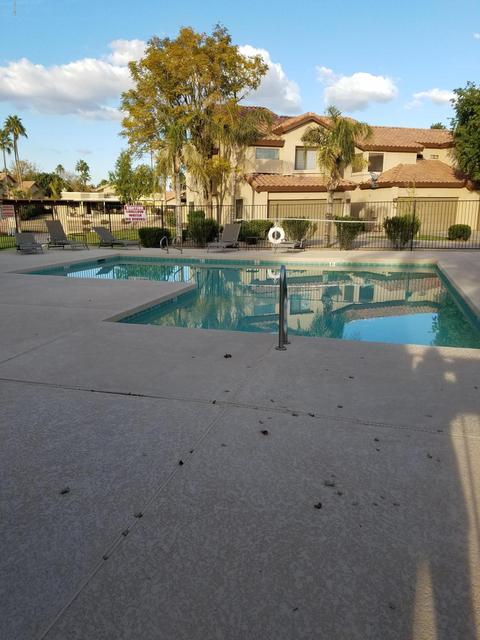1135 W Windjammer Dr, Gilbert, AZ 85233 photo 26