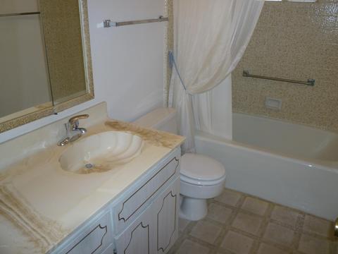 4160 E Carol Ave, Mesa, AZ 85206 photo 9