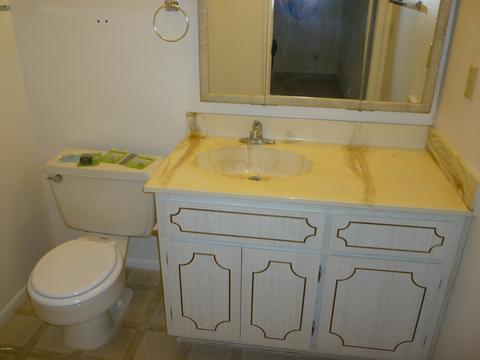 4160 E Carol Ave, Mesa, AZ 85206 photo 12