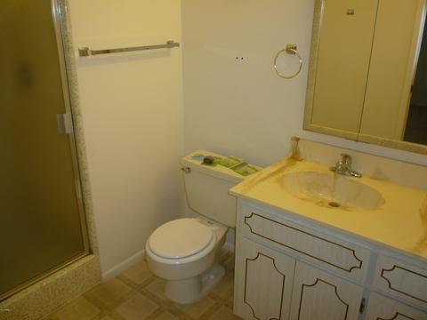 4160 E Carol Ave, Mesa, AZ 85206 photo 13