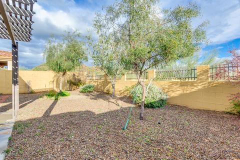1845 N Red Clf, Mesa, AZ 85207 photo 36