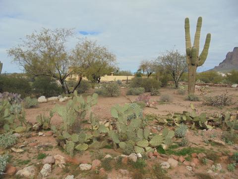 5296 E Superstition Blvd, Apache Junction, AZ 85119 photo 25