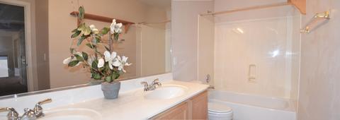 9929 E Medina Ave, Mesa, AZ 85209 photo 23