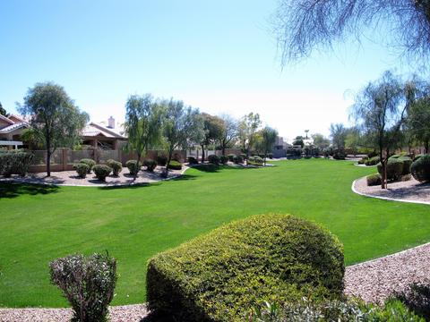 3826 E Kings Ave, Phoenix, AZ 85032 photo 22