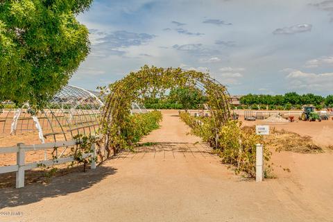 2797 E Virginia St, Gilbert, AZ 85296 photo 60