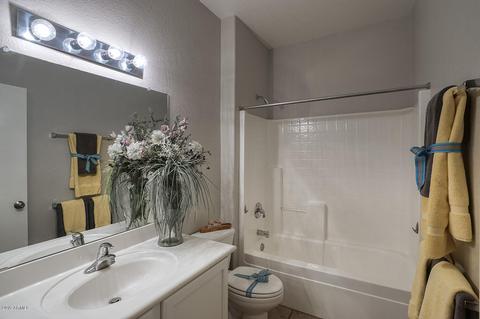 9121 E Auburn St, Mesa, AZ 85207 photo 18