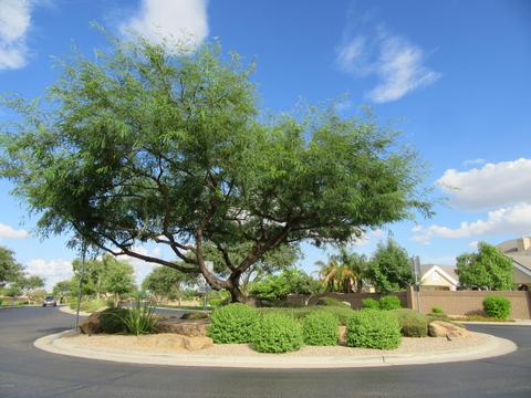 3100 E Bonanza Rd, Gilbert, AZ 85297 photo 50