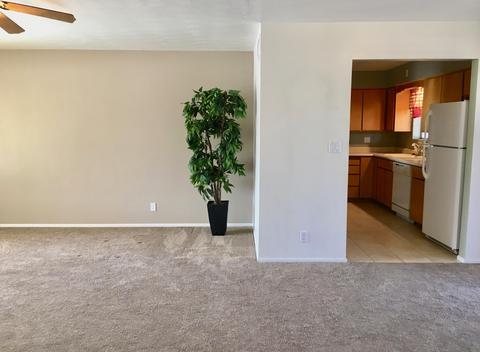 5920 E Duncan St, Mesa, AZ 85205 photo 6
