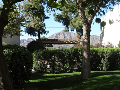 5525 E Thomas Rd #B7, Phoenix, AZ 85018 photo 44