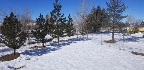 1975 Cedar Cir, Snowflake, AZ 85937 photo 59