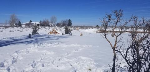 1975 Cedar Cir, Snowflake, AZ 85937 photo 54
