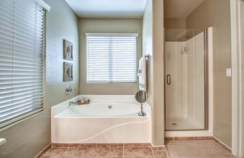 9054 E Plana Ave, Mesa, AZ 85212 photo 42
