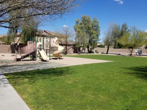 11010 E Cholla Rd, Mesa, AZ 85207 photo 31