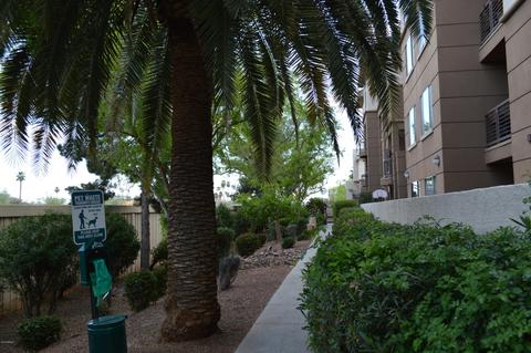 1701 E Colter St #184, Phoenix, AZ 85016 photo 32