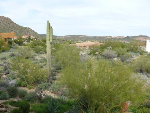 5229 N Idaho Rd, Apache Junction, AZ 85119 photo 22