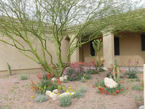 5229 N Idaho Rd, Apache Junction, AZ 85119 photo 13