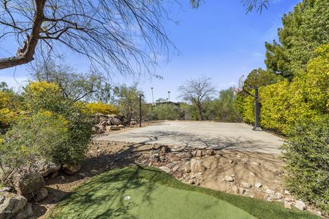 4040 E Beryl Ln, Phoenix, AZ 85028 photo 49