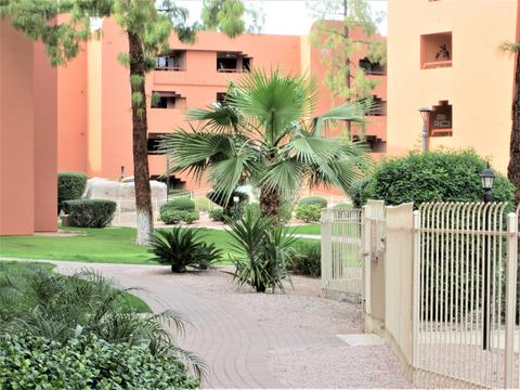 4303 E Cactus Rd #116, Phoenix, AZ 85032 photo 19