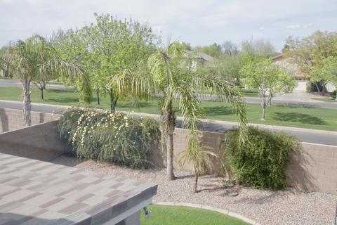3544 E Bruce Ave, Gilbert, AZ 85234 photo 13