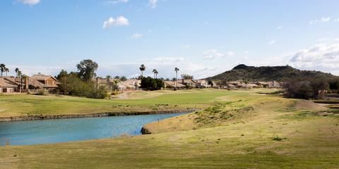 1226 E Glenhaven Dr, Phoenix, AZ 85048 photo 5