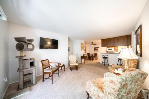 5525 E Thomas Rd #B6, Phoenix, AZ 85018 photo 6