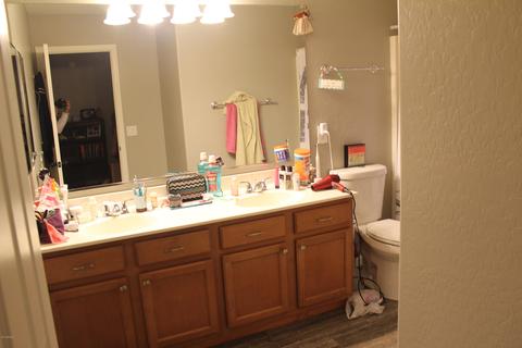 11528 E Reuben Ave, Mesa, AZ 85212 photo 19