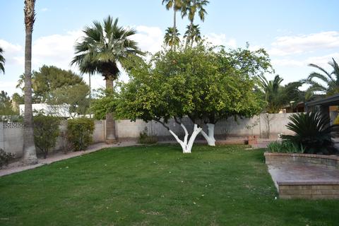 310 E Sharon Ave, Phoenix, AZ 85022 photo 3