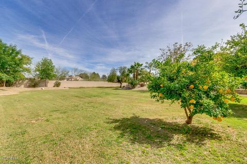 313 S Equestrian Ct, Gilbert, AZ 85296 photo 71