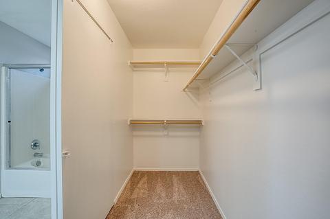 10241 E Dolphin Ave, Mesa, AZ 85208 photo 11