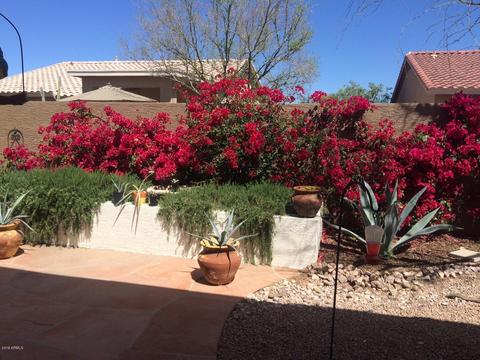 4314 E Chestnut Ln, Gilbert, AZ 85298 photo 21