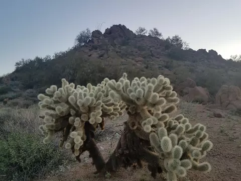 0 E Range Rider Trl #-, Mesa, AZ 85207 photo 30