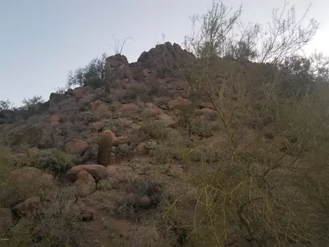 0 E Range Rider Trl #-, Mesa, AZ 85207 photo 29