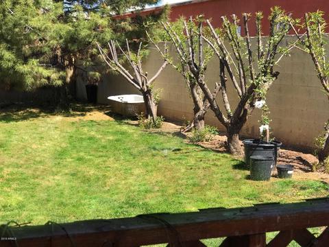 409 N Elizabeth Ave, Douglas, AZ 85607 photo 46