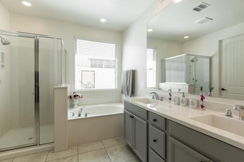 9860 E Theia Dr, Mesa, AZ 85212 photo 19