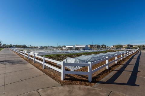 9860 E Theia Dr, Mesa, AZ 85212 photo 42