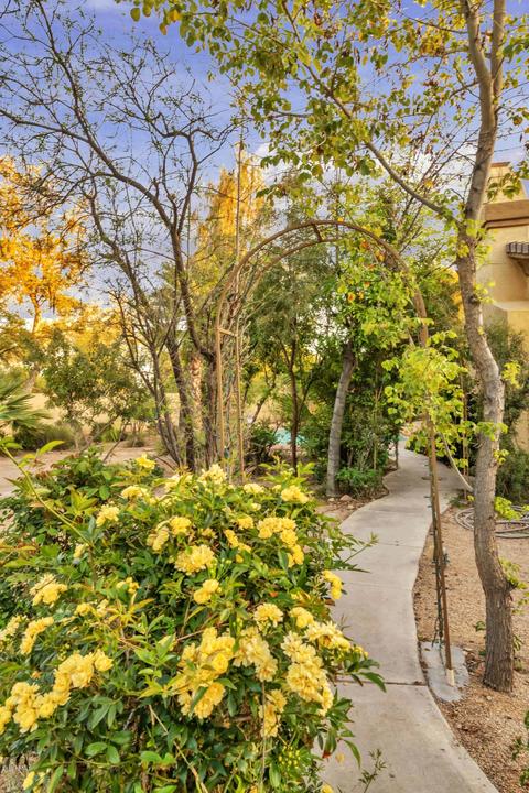 480 E Canyon Creek Ct, Gilbert, AZ 85295 photo 66