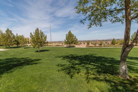 3915 E Perkinsville St, Gilbert, AZ 85295 photo 29