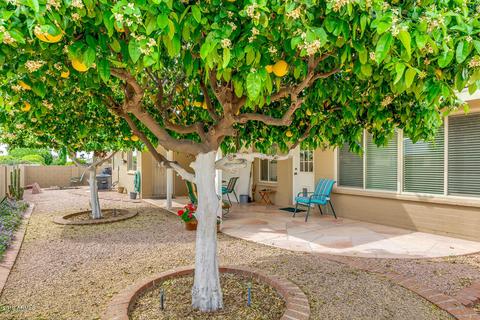 7935 E Milagro Ave, Mesa, AZ 85209 photo 27