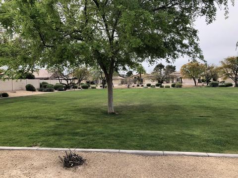 2214 E Aire Libre Ave, Phoenix, AZ 85022 photo 25