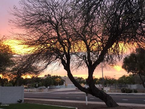 4201 E Adobe St, Mesa, AZ 85205 photo 51